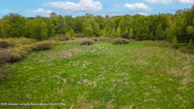 1480 E Round Lake Rd, Dewitt, MI 48820 - photo 22
