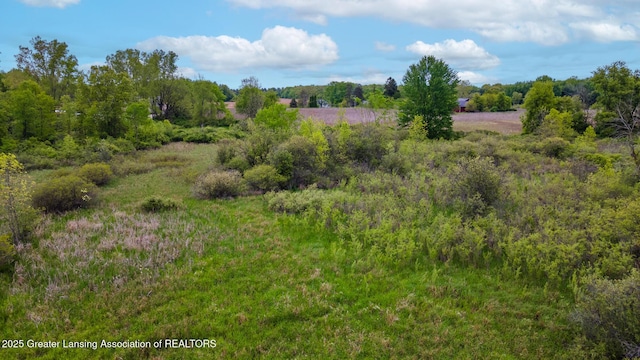 1480 E Round Lake Rd, Dewitt, MI 48820 - photo 23