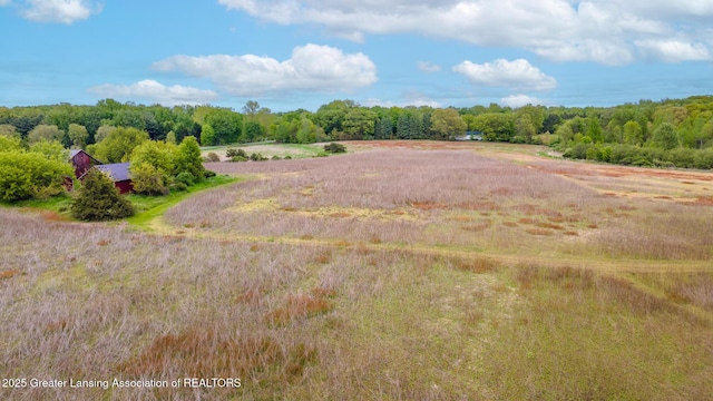 1480 E Round Lake Rd, Dewitt, MI 48820 - photo 25