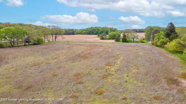 1480 E Round Lake Rd, Dewitt, MI 48820 - photo 26