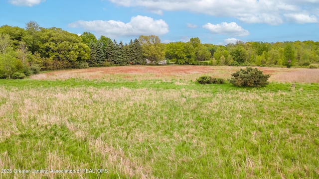 1480 E Round Lake Rd, Dewitt, MI 48820 - photo 35