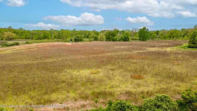 1480 E Round Lake Rd, Dewitt, MI 48820 - photo 37
