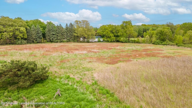 1480 E Round Lake Rd, Dewitt, MI 48820 - photo 38