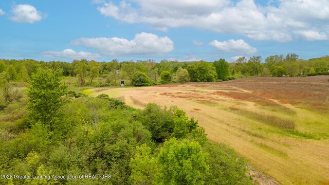 1480 E Round Lake Rd, Dewitt, MI 48820 - photo 41