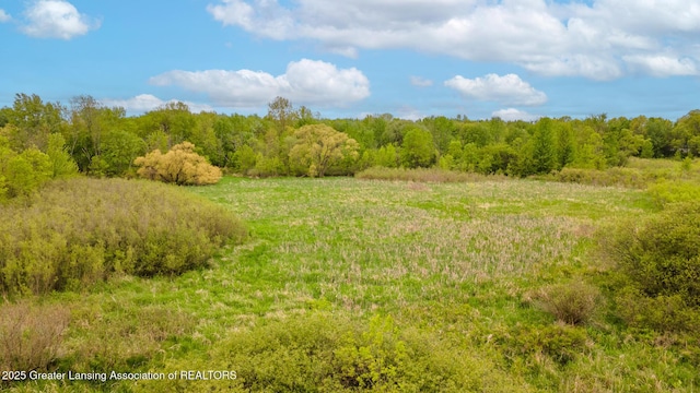 1480 E Round Lake Rd, Dewitt, MI 48820 - photo 42