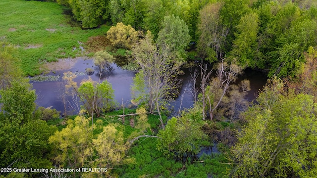 1480 E Round Lake Rd, Dewitt, MI 48820 - photo 43