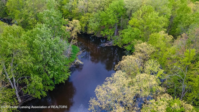 1480 E Round Lake Rd, Dewitt, MI 48820 - photo 44