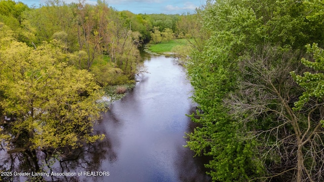1480 E Round Lake Rd, Dewitt, MI 48820 - photo 45
