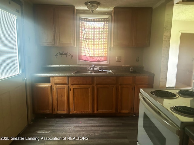 3429 Lowcroft Ave, Lansing, MI 48910 - kitchen featuring white range with electric cooktop, brown cabinets, and dark wood-style flooring