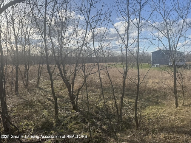 LOTS9 Eagle Pass Dr, Eaton Rapids, MI 48827