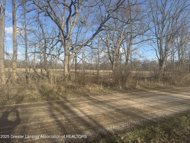 LOTS9 Eagle Pass Dr, Eaton Rapids, MI 48827