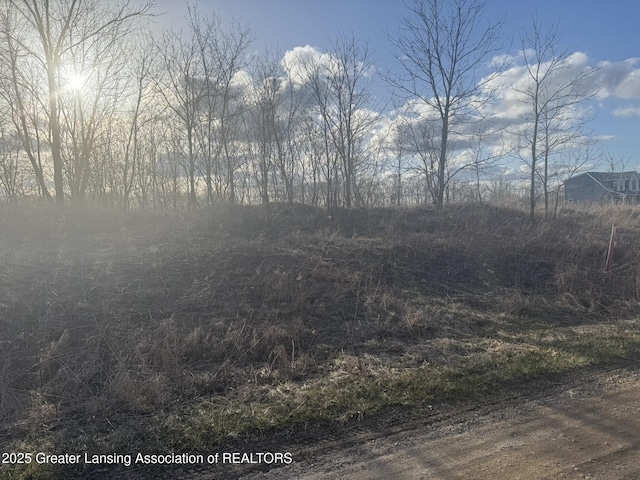 LOTS9 Eagle Pass Dr, Eaton Rapids, MI 48827