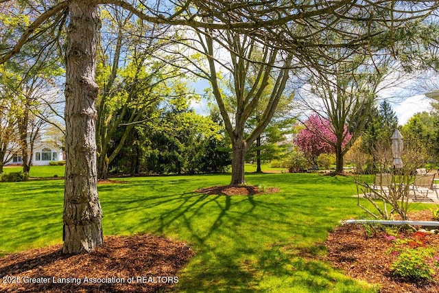 view of home's community featuring a lawn