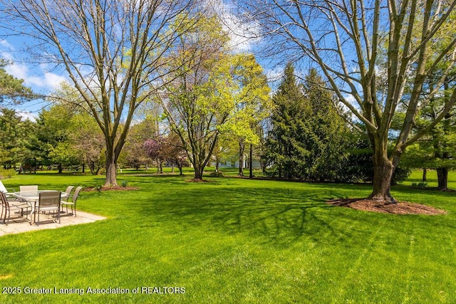 view of yard featuring a patio