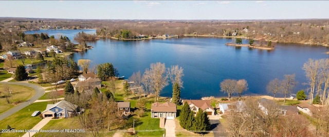 9605 Jason Rd, Laingsburg, MI 48848 - drone / aerial view featuring a residential view and a water view