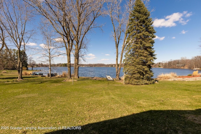 9605 Jason Rd, Laingsburg, MI 48848 - view of yard featuring a water view
