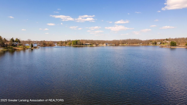 9605 Jason Rd, Laingsburg, MI 48848 - water view