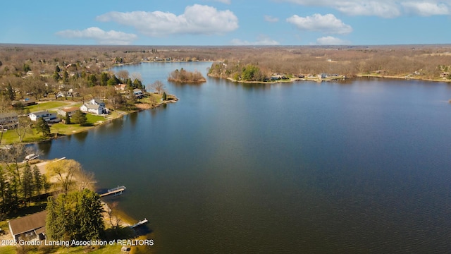 9605 Jason Rd, Laingsburg, MI 48848 - drone / aerial view featuring a water view