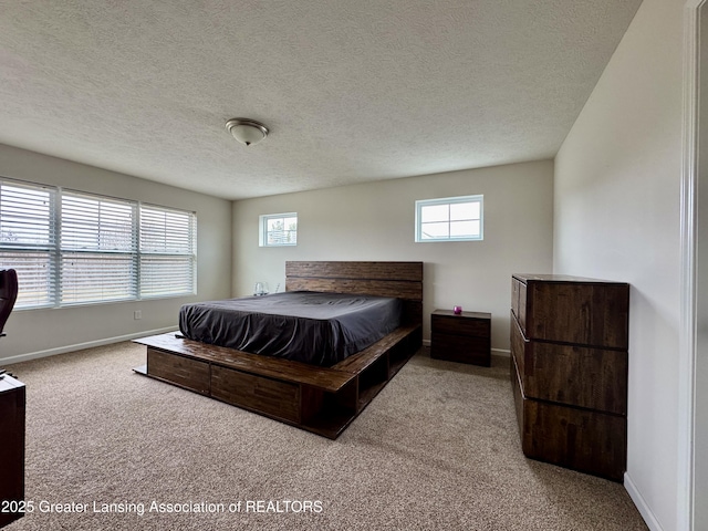 2632 Carnoustie Dr, Okemos, MI 48864 - carpeted bedroom with multiple windows, baseboards, and a textured ceiling