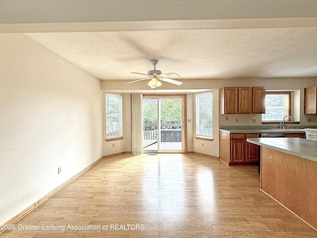 1970 Hollowbrook Dr, Holt, MI 48842 - kitchen with baseboards, light wood-style flooring, and a healthy amount of sunlight