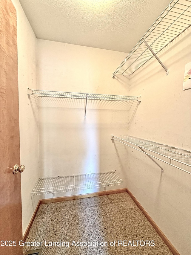 1970 Hollowbrook Dr, Holt, MI 48842 - view of spacious closet