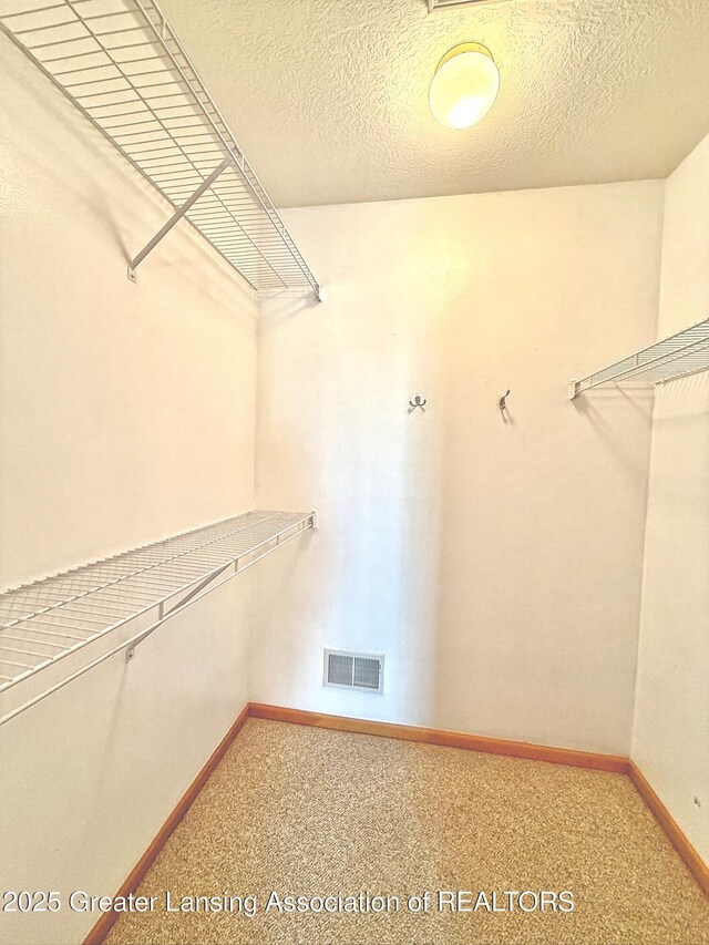 1970 Hollowbrook Dr, Holt, MI 48842 - walk in closet featuring light carpet and visible vents