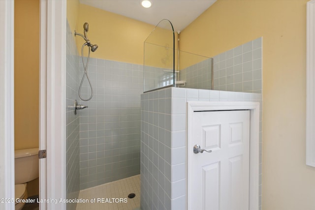 14178 Mulholland Dr, Bath, MI 48808 - full bathroom featuring toilet and walk in shower