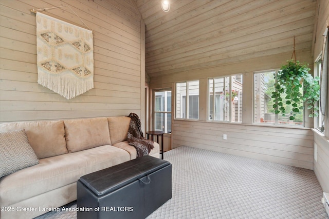 5810 Caleta Dr, Lansing, MI 48911 - sunroom with outdoor lounge area, wood walls, carpet flooring, and a baseboard radiator