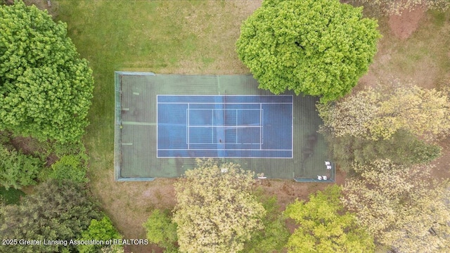 4345 Courtside Dr, Williamston, MI 48895 - aerial view