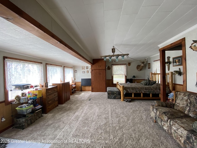 bedroom with wooden walls, carpet, and wainscoting