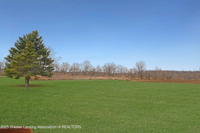 view of yard with a rural view