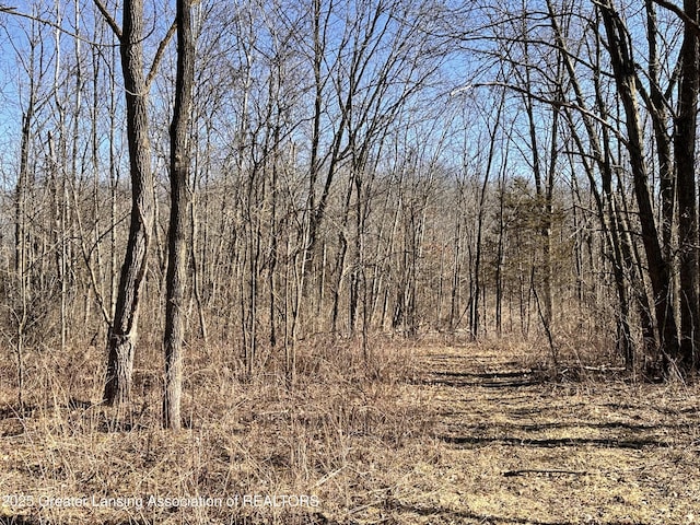 view of local wilderness featuring a view of trees