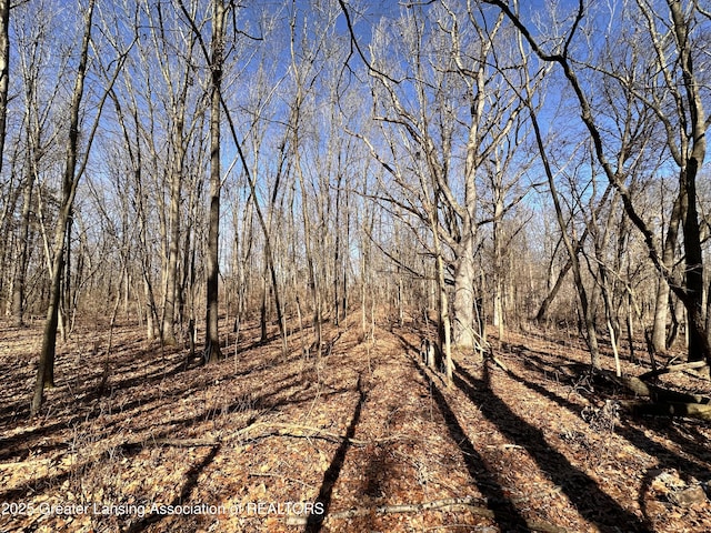 view of local wilderness