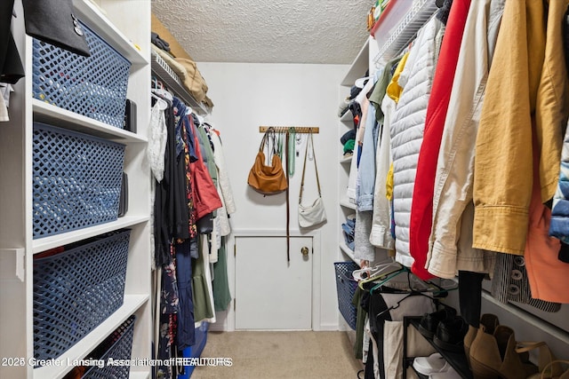 spacious closet featuring carpet floors