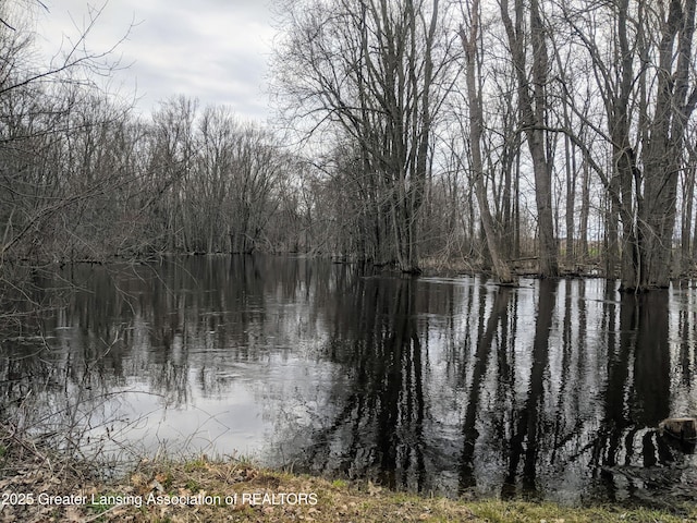 view of water feature with a view of trees