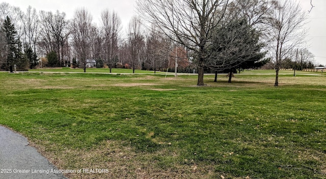 view of home's community featuring a yard