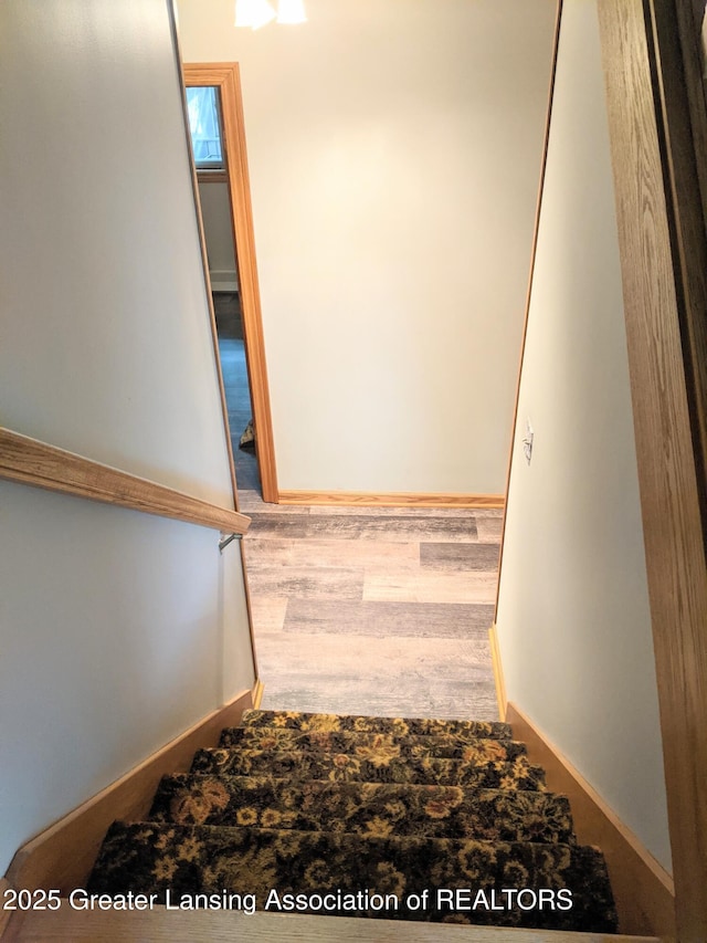 stairway featuring wood finished floors