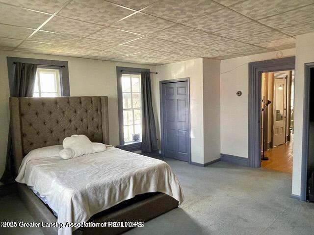 11100 Anderson Rd, Litchfield, MI 49252 - carpeted bedroom featuring baseboards, a paneled ceiling, and a closet