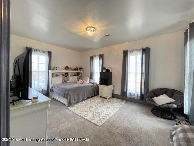 11100 Anderson Rd, Litchfield, MI 49252 - bedroom with carpet and multiple windows