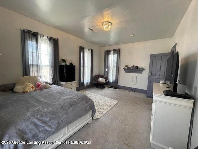 11100 Anderson Rd, Litchfield, MI 49252 - bedroom with multiple windows, light colored carpet, and baseboards