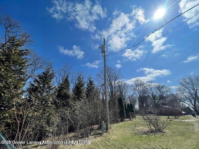 11100 Anderson Rd, Litchfield, MI 49252 - view of green lawn