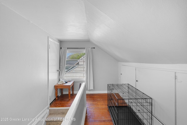 610 Spokane Ave, Lansing, MI 48910 - additional living space with lofted ceiling, dark wood finished floors, and baseboards