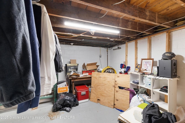 610 Spokane Ave, Lansing, MI 48910 - unfinished below grade area with concrete block wall