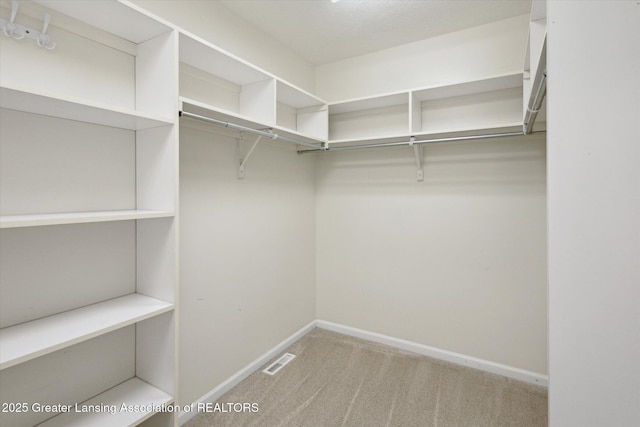 3430 Hawthorne Woods Pkwy, Dewitt, MI 48820 - spacious closet with carpet flooring and visible vents