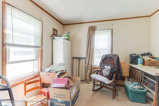 sitting room with light colored carpet, ornamental molding, and a healthy amount of sunlight