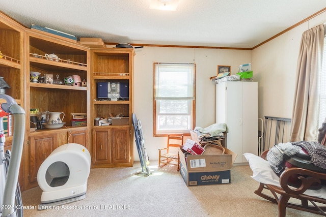 interior space with ornamental molding and carpet floors