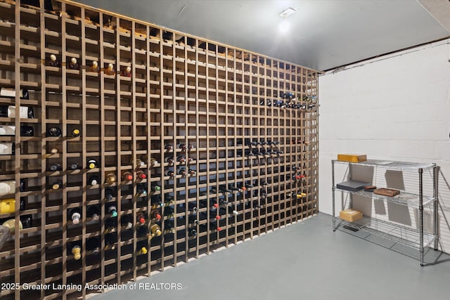 728 Audubon Rd, East Lansing, MI 48823 - wine room with concrete flooring and concrete block wall