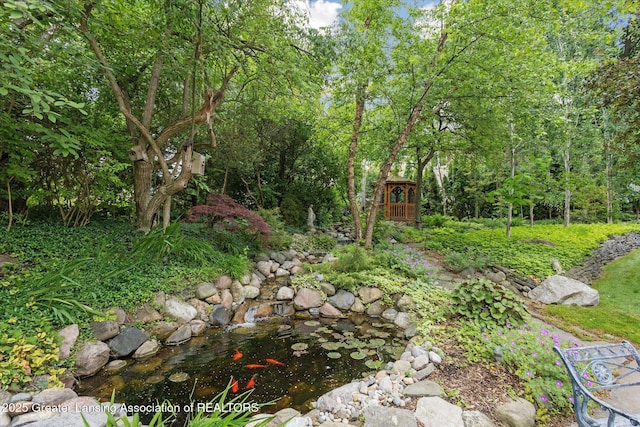 728 Audubon Rd, East Lansing, MI 48823 - view of yard