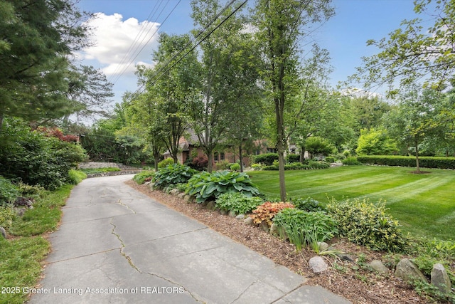 728 Audubon Rd, East Lansing, MI 48823 - view of grassy yard