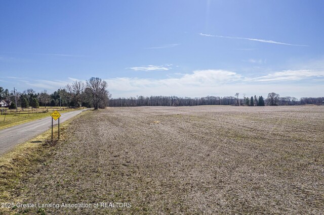 LOT6 Sunset Ave, Dansville, MI 48819 - photo 13